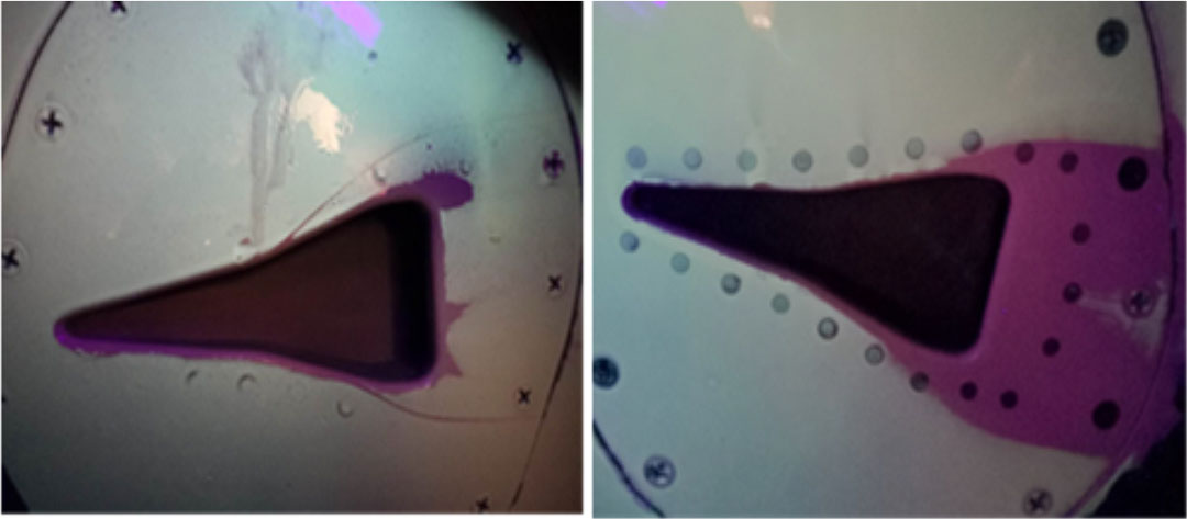 圖2 顯色涂層顯色情況(左翼、右翼)