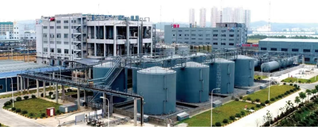 2026涂料大會會議紀要621