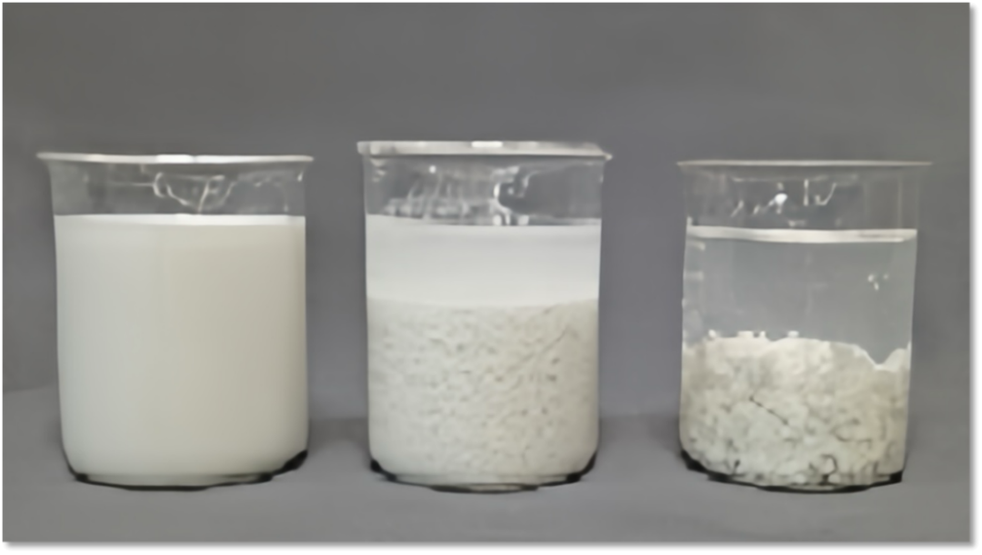 2026涂料大會會議紀要852